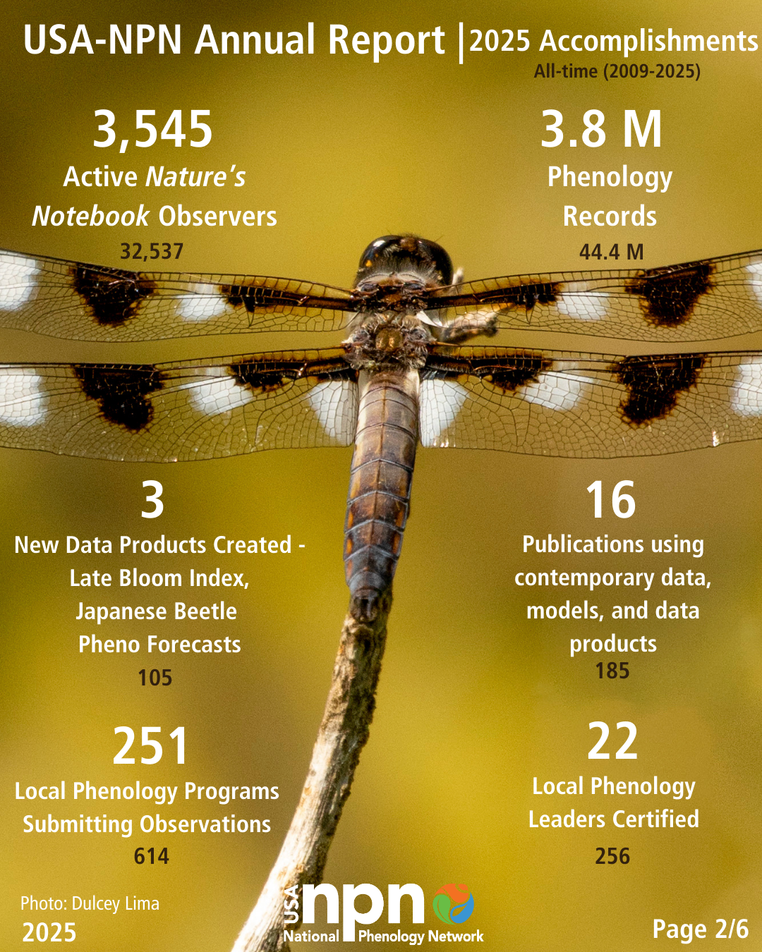 USA-NPN 2025 Annual Report infographic of observations and other metrics