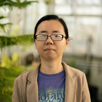 Photo of Yingying Xie