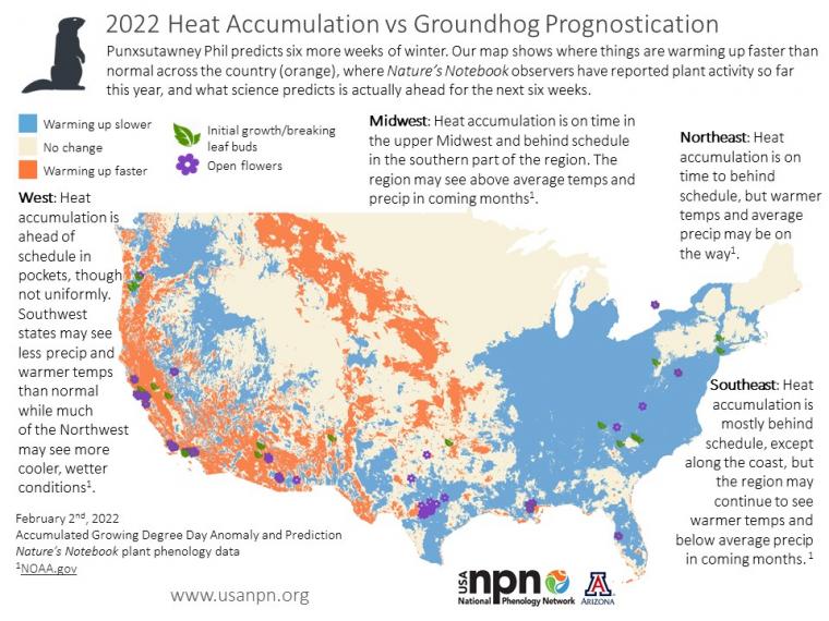 Seasonal story on Groundhog Day 2022