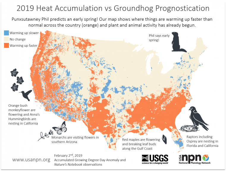 Seasonal story on Groundhog Day 2019