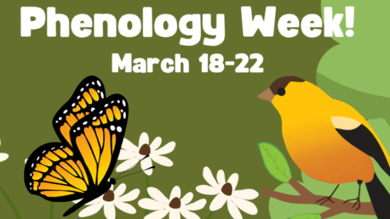 Phenology week logo with butterfly, bird, and flowers